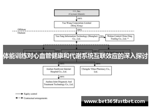 体能训练对心血管健康和代谢系统互联效应的深入探讨